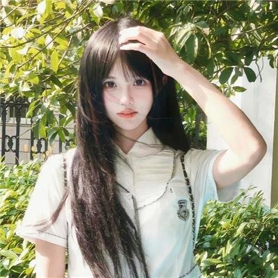 飞蛾日记